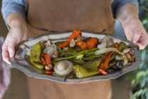 Hände halten Teller mit gebratenem Gemüse — Stockfoto
