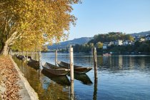 Suíça, Cantão de Schaffhausen, Schaffhausen, rio Reno e Weidlings tradicionais no outono — Fotografia de Stock