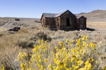 США, Каліфорнія, Сьєрра-Невада, історичний парк Бодді, покинутий дерев'яний будинок — стокове фото