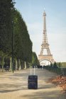 Франция, Париж, Champ de Mars, вид на Эйфелеву башню с сумкой-троллем на переднем плане — стоковое фото