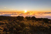 Riunione, Parco Nazionale della Riunione, Punto di vista Maido, Vista dal vulcano Maido al mare di nuvole e tramonto — Foto stock
