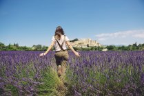 France, Grignan, back view of woman walking in lavender field — Stock Photo