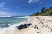 Mauritius, East Coast, Indian Ocean, Flacq, beach — Stock Photo