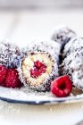 Lamington bolas de felicidade com caju, cheio de framboesas, chocolate escuro e flocos de coco — Fotografia de Stock