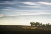 Gran Bretagna, Scozia, Lothian orientale, Lammermuir HIlls, Crystal Rig Wind Farm — Foto stock