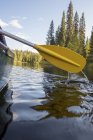 Finlandia, Parque Nacional de Oulanka, excursión en barco en canoa por el río - foto de stock