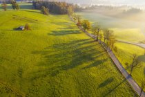 Germania, Baviera, Alta Baviera, Dietramszell, Veduta aerea del vicolo alla luce del mattino — Foto stock
