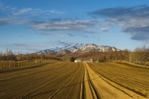 Hokkaido, Little farm before a snow capped mountain near Shiretoko National Park — Stock Photo