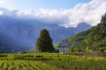 Albania, Shkoder County, Albanian Alps, Theth National Park, Theth, Catholic Church and fields — Stock Photo
