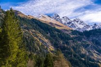 Alemania, Baviera, Oberallgaeu, Alpes Allgaeu, Valle de Stillach - foto de stock