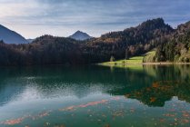 Німеччина, Баварія, Східний Allgaeu, Фуссен, Alatsee восени — стокове фото