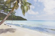 Vietnam, Phu Quoc, beach, swing on palm tree — Stock Photo
