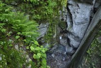 Slovenia, Tolmin, Triglav National Park, Tolmin Gorges, Bears Head Rock — Stock Photo