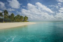Ilhas Cook, Rarotonga, lagoa Aitutaki, praia de areia branca e praia de palmeiras — Fotografia de Stock