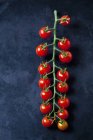 Tomates cherry 'Sweet Million' - foto de stock