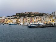 Italia, Campania, Nápoles, Golfo de Nápoles, Isla Procida, Marina di Sancio Cattolico en la luz de la mañana - foto de stock