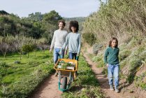 Camminare in famiglia su una pista sterrata, spingendo carriola, piena di verdure fresche — Foto stock