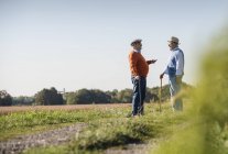 Due vecchi amici in piedi nei campi, che parlano dei vecchi tempi — Foto stock