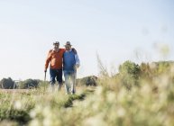Dos viejos amigos dando un paseo por los campos, hablando de los viejos tiempos - foto de stock
