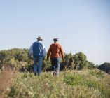 Due vecchi amici che passeggiano per i campi, parlando dei vecchi tempi — Foto stock