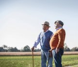 Due vecchi amici in piedi nei campi, che parlano dei vecchi tempi — Foto stock