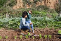 Madre e figlio piantare piantine di lattuga in orto — Foto stock