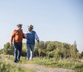 Zwei alte Freunde spazieren durch die Felder und sprechen über alte Zeiten — Stockfoto