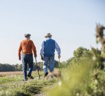Zwei alte Freunde spazieren durch die Felder und sprechen über alte Zeiten — Stockfoto
