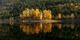 Канада, Британская Колумбия, озеро Шусвап осенью — стоковое фото