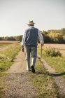 Uomo anziano con bastone da passeggio, camminare nei campi, vista posteriore — Foto stock