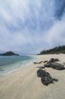Japón, Islas Okinawa, Islas Kerama, Isla Zamami, Mar de China Oriental, Playa Furuzamami - foto de stock