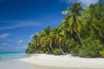 Cook Islands, Rarotonga, Aitutaki lagoon, white sand beach and palm beach — Stock Photo