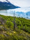 Argentina, El Calafate, Patagonia, Ghiacciaio Perito Moreno — Foto stock