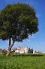 Croazia, Istria, Balla, Centro storico, Chiesa parrocchiale di San Giuliano — Foto stock