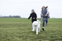 Две смеющиеся девушки бегут по лугу с собакой, имеющей фанг — стоковое фото