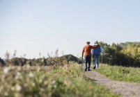 Dos viejos amigos dando un paseo por los campos, hablando de los viejos tiempos - foto de stock