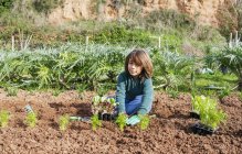 Ragazzo piantare piantine di lattuga in orto — Foto stock