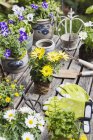 Différentes fleurs d'été et outils de jardinage sur table de jardin — Photo de stock