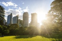 Australia, Nueva Gales del Sur, Sydney, distrito financiero de Sydney contra la luz de fondo - foto de stock