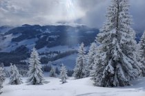 Alemanha, Baviera, Chiemgau, Chiemgau Alps, Sachrang, Spitzstein no inverno — Fotografia de Stock