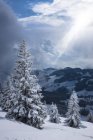 Alemanha, Baviera, Chiemgau, Chiemgau Alps, Sachrang, Spitzstein no inverno — Fotografia de Stock