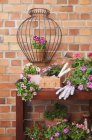Various potted spring and summer flowers, gardening tools and gloves — Stock Photo