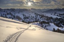 Österreich, Salzburg, Kleinarl, Penkkogel, Eisglätte — Stockfoto