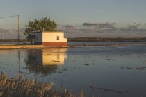 Испания, дельта Эбро, рисовые поля на закате — стоковое фото