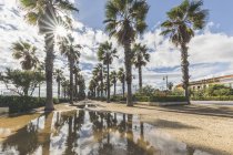 España, Valencia, El Cabanyal, vista al paseo marítimo bordeado de palmeras de El Micalet - foto de stock