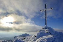Allemagne, Bavière, Forêt bavaroise en hiver, Grand Arbre, croix du sommet enneigée — Photo de stock