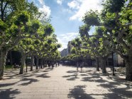 Spagna, Castiglia e Leon, Burgos, Paseo del Espolon — Foto stock