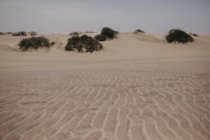 Namibia, Walvis Bay, sabbia nel Namib-Naukluft National Park — Foto stock