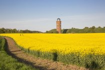 Alemania, Ruegen, Cabo Arkona, Torre de Posicionamiento, Peilturm y campo de violación - foto de stock