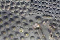 España, Islas Canarias, Lanzarote, zona vinícola La Geria en Yaiza, cepas de vid en huecos en forma de embudo, vista aérea - foto de stock